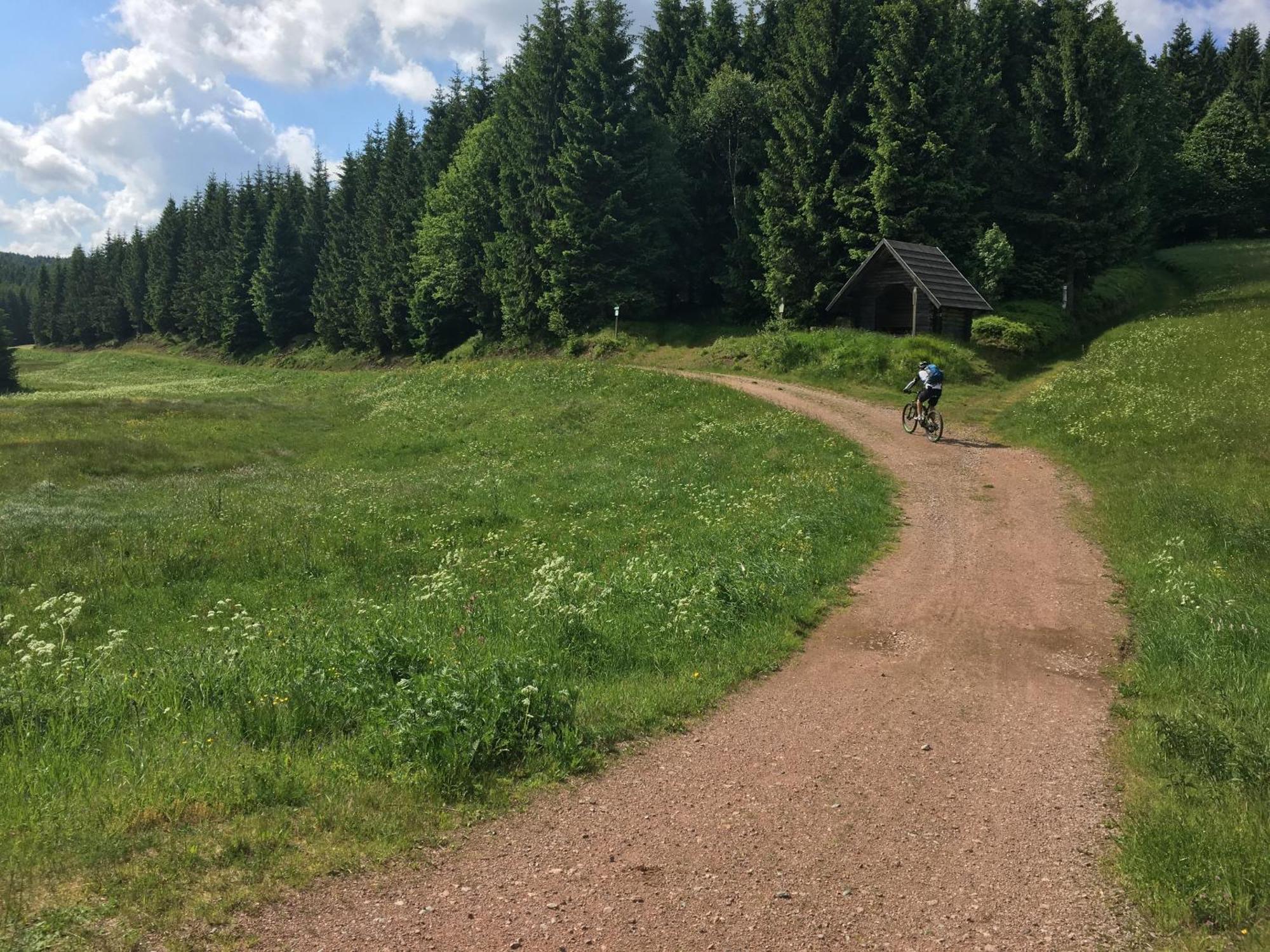 Ferienhaus Bikehütte Rehnhäusl Geising Habitación foto